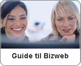 Guide til Bizweb